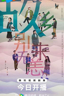 快速的seo网站关键词优化